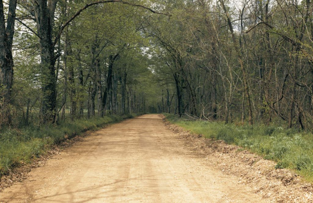 Haunted Dirt Road. Keep reading to get the best things to do in Florida for Halloween and Fall!