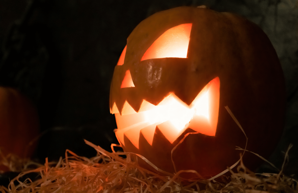 Lit Jack O Lantern Pumpkin. Keep reading to discover where are the best pumpkin patches in Florida. 