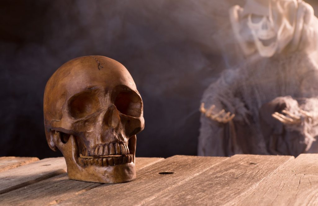 Skull on Table in Florida. Keep reading to find out all you need to know about what are the best Florida pumpkin patches to visit.  